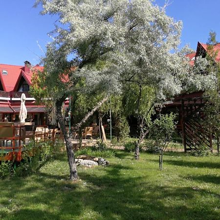 Pensiunea Casa Matei Hotel Berca ภายนอก รูปภาพ