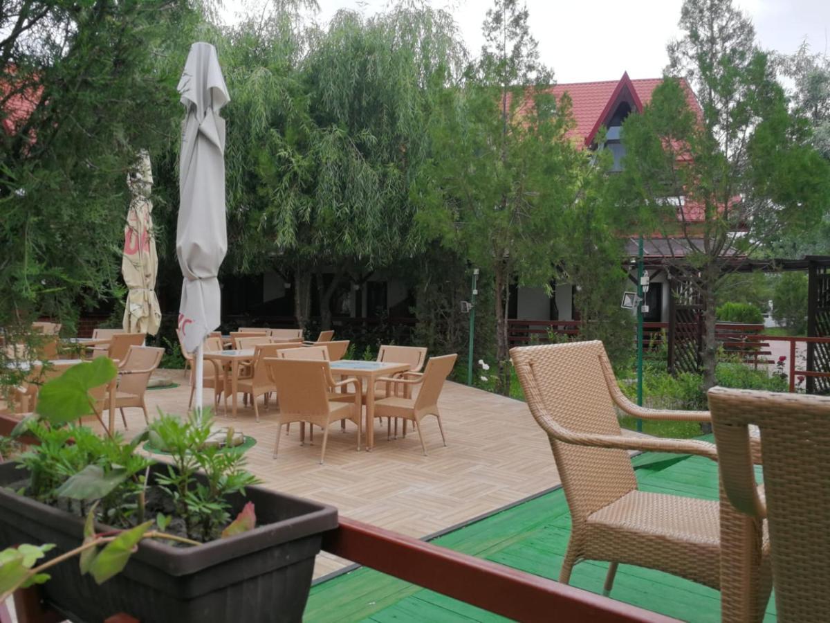 Pensiunea Casa Matei Hotel Berca ภายนอก รูปภาพ