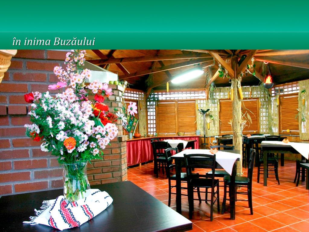 Pensiunea Casa Matei Hotel Berca ภายนอก รูปภาพ
