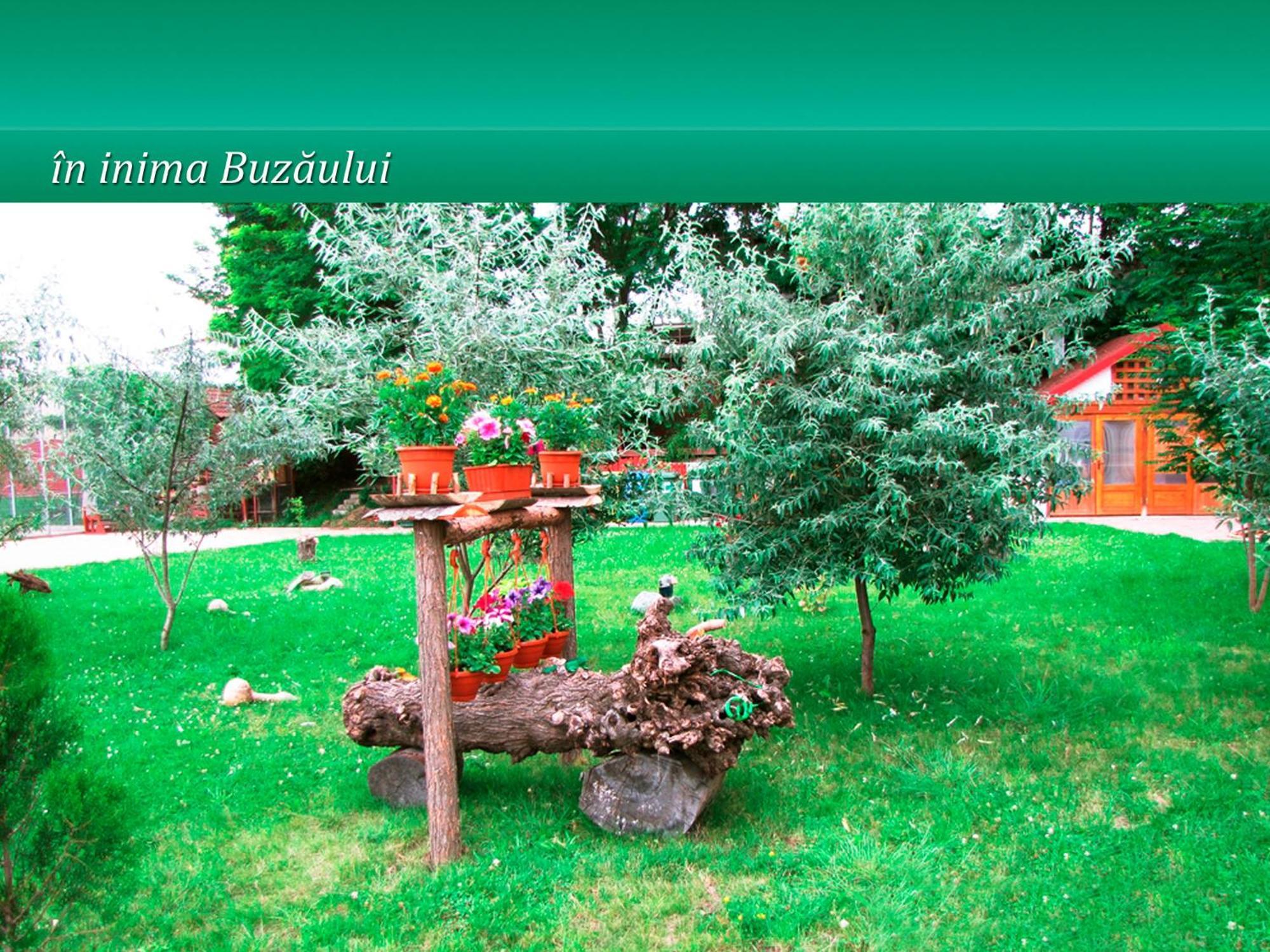 Pensiunea Casa Matei Hotel Berca ภายนอก รูปภาพ