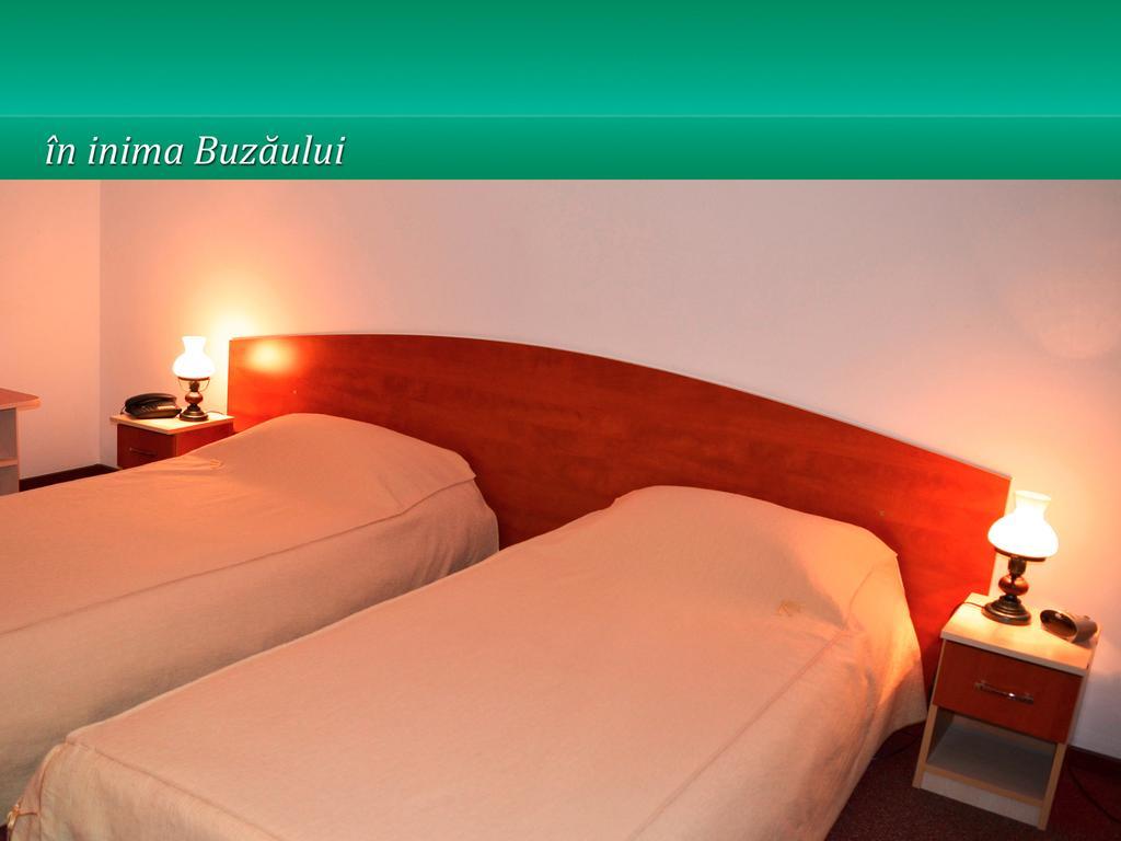 Pensiunea Casa Matei Hotel Berca ห้อง รูปภาพ